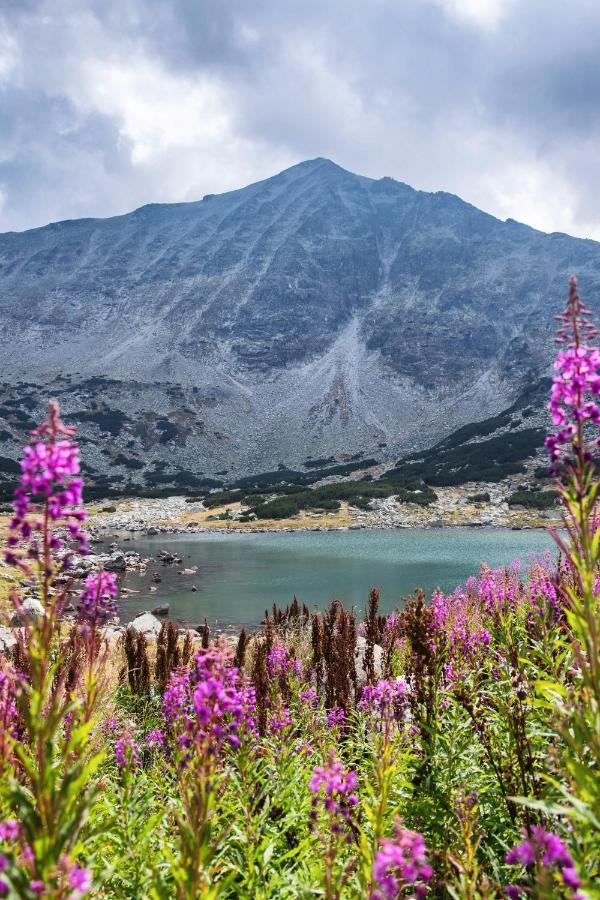 Borovets Gardens B30 Morunov Apart Esterno foto